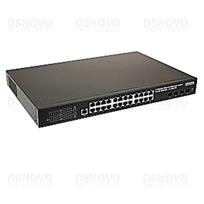 SW-24G4X-1L-I