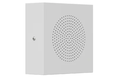 WS-06T