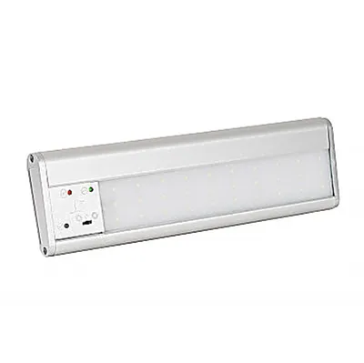 2450 SKAT LT-2330 LED Li-Ion