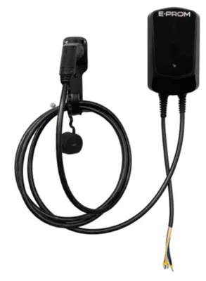 01007-WL-TY1-MINI