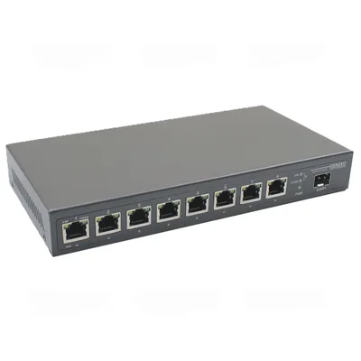 SW-8D1X(120W)