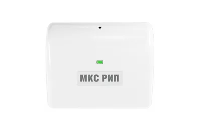 МКС РИП