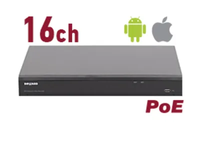 RK2216-P