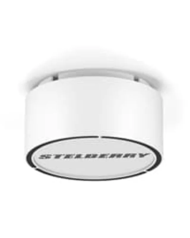 Stelberry F-306W
