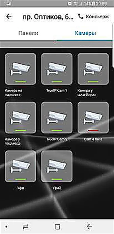 True IP Лицензия T-nect LITE