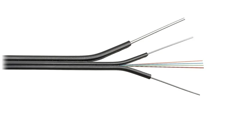 NIKOMAX ESSENTIAL NMF-2PH-002A1C-BK