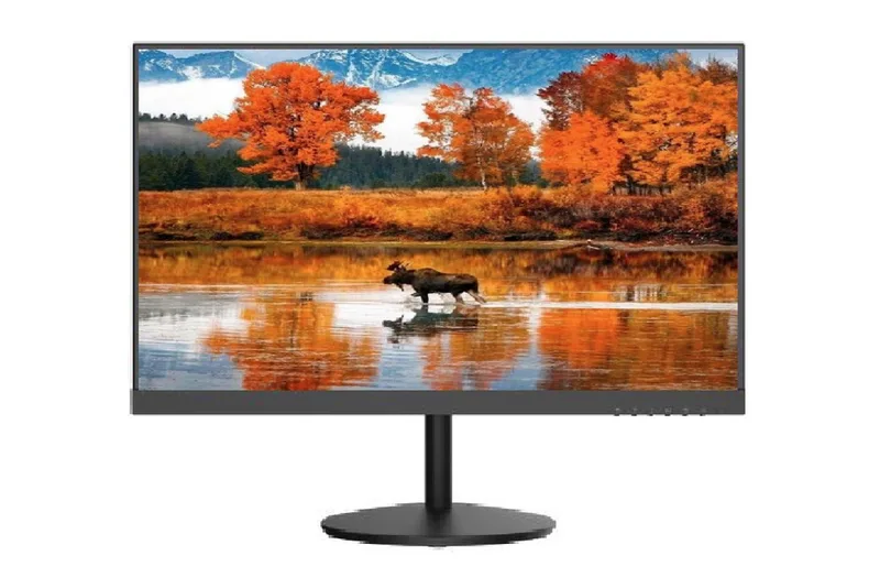 Монитор Hikvision DS-D5224F2-1V1S