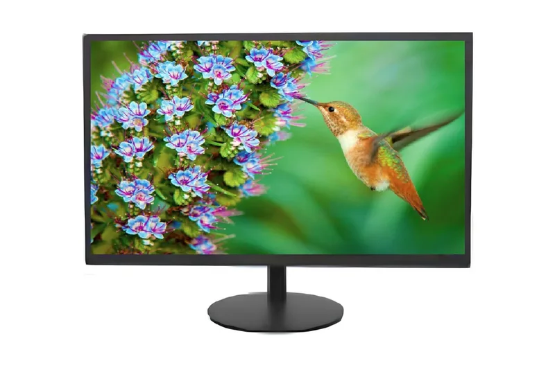 Монитор Hikvision DS-D5019S0-1P0